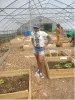 Victoria Trotter, founder of Green Movement Glenville, inside one of the farm’s hoop houses
